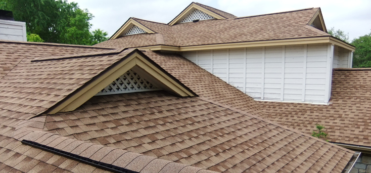 Asphalt Shingle Roofing Services in Whitewater