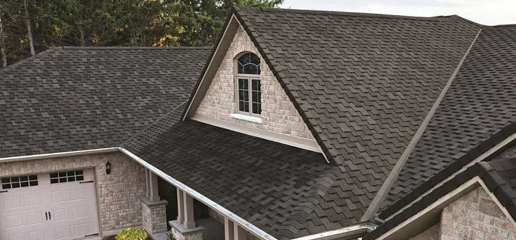 Best Asphalt Shingles Dana Point