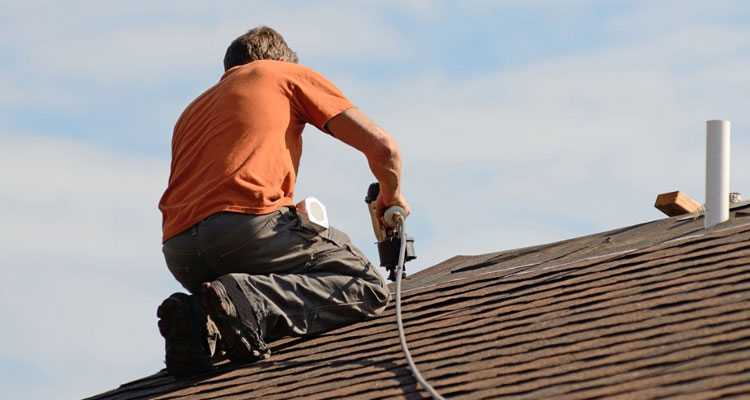 Residential Green Roof Industry