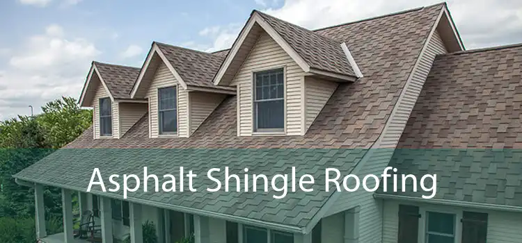 Asphalt Shingle Roofing 