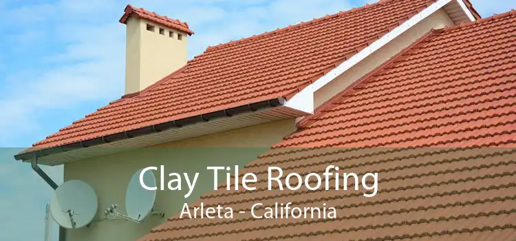 Clay Tile Roofing Arleta - California