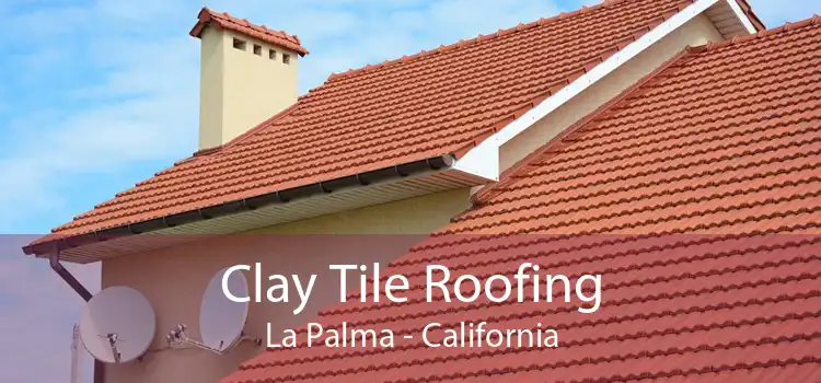 Clay Tile Roofing La Palma - California