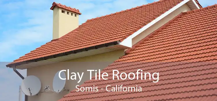 Clay Tile Roofing Somis - California