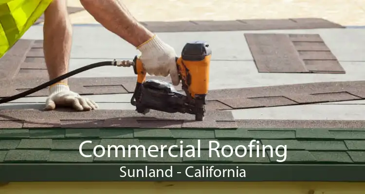 Commercial Roofing Sunland - California