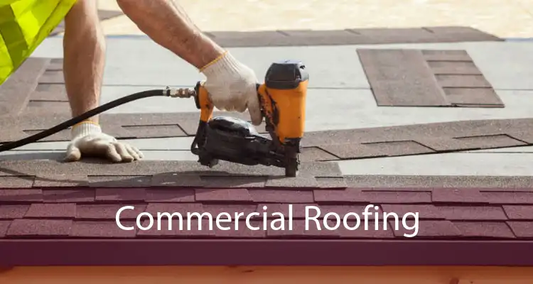 Commercial Roofing 