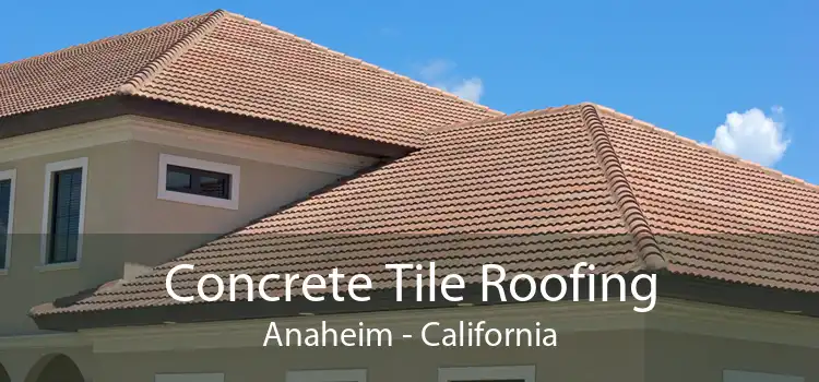 Concrete Tile Roofing Anaheim - California