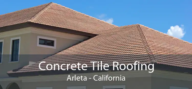 Concrete Tile Roofing Arleta - California