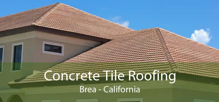 Concrete Tile Roofing Brea - California