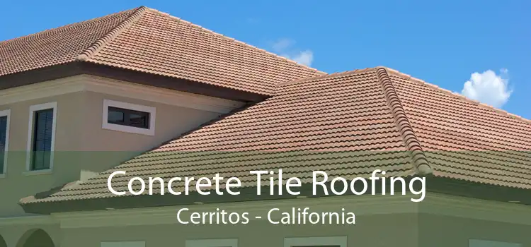 Concrete Tile Roofing Cerritos - California