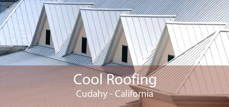 Cool Roofing Cudahy - California