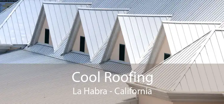 Cool Roofing La Habra - California