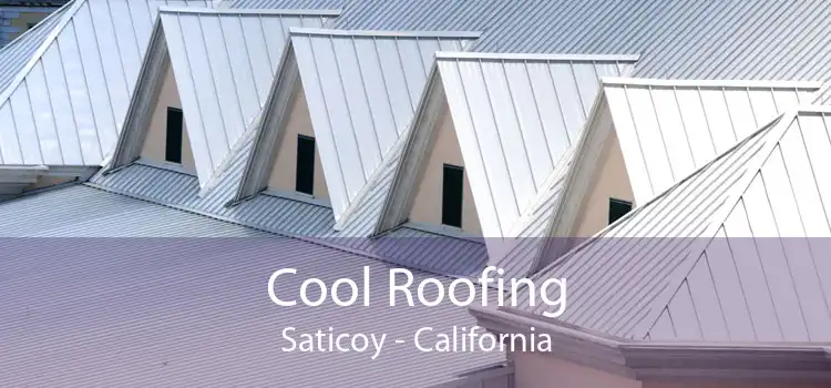 Cool Roofing Saticoy - California