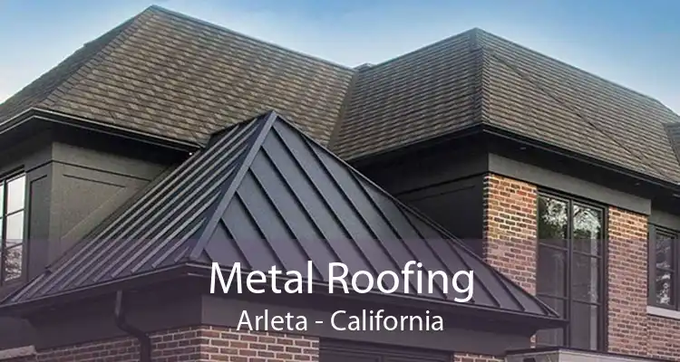 Metal Roofing Arleta - California