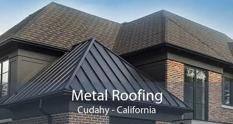 Metal Roofing Cudahy - California