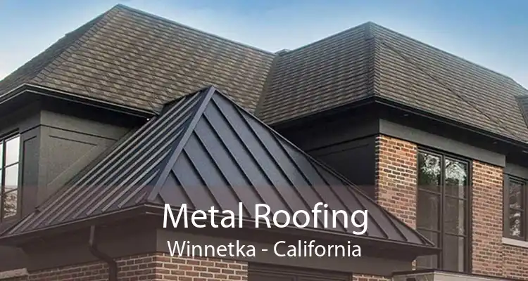 Metal Roofing Winnetka - California