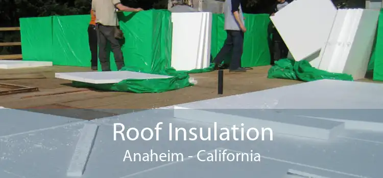 Roof Insulation Anaheim - California