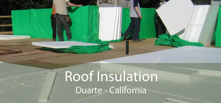 Roof Insulation Duarte - California