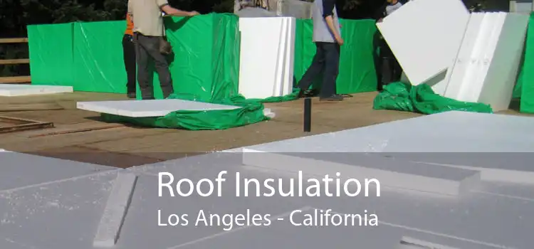 Roof Insulation Los Angeles - California