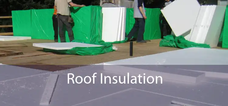 Roof Insulation 