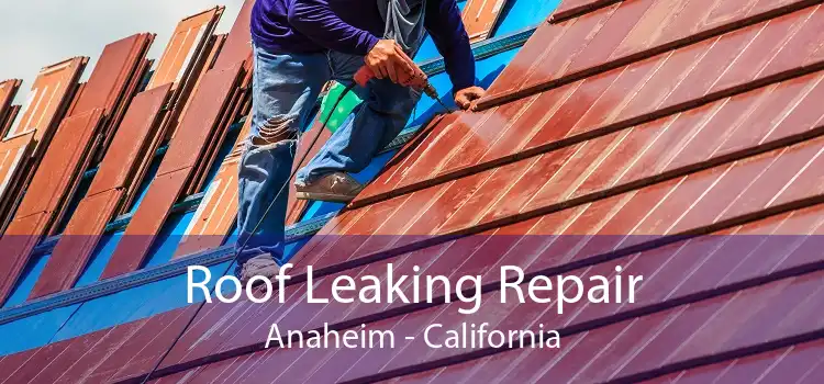 Roof Leaking Repair Anaheim - California