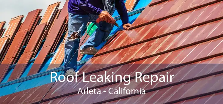 Roof Leaking Repair Arleta - California