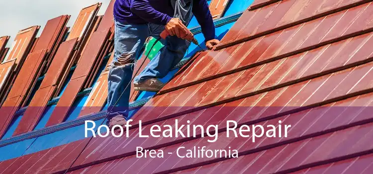 Roof Leaking Repair Brea - California