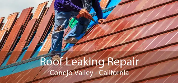 Roof Leaking Repair Conejo Valley - California