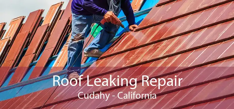 Roof Leaking Repair Cudahy - California