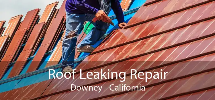 Roof Leaking Repair Downey - California