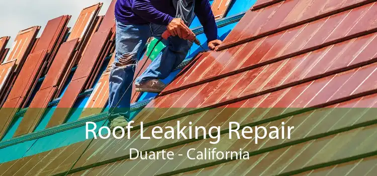 Roof Leaking Repair Duarte - California