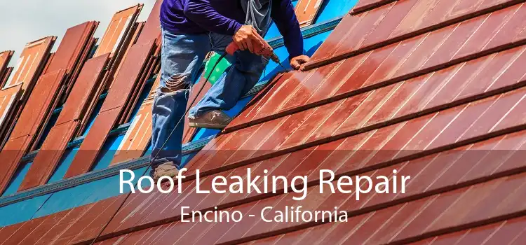 Roof Leaking Repair Encino - California