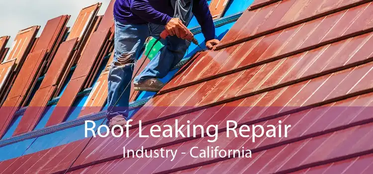 Roof Leaking Repair Industry - California