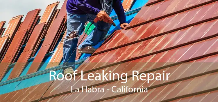 Roof Leaking Repair La Habra - California