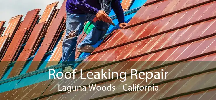 Roof Leaking Repair Laguna Woods - California