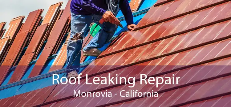 Roof Leaking Repair Monrovia - California