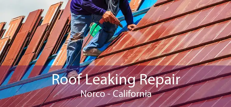 Roof Leaking Repair Norco - California