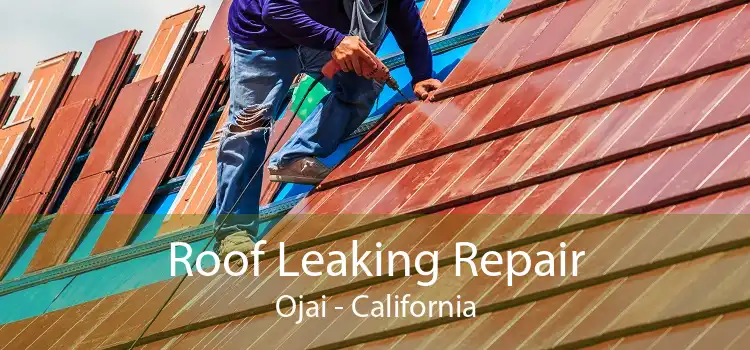 Roof Leaking Repair Ojai - California