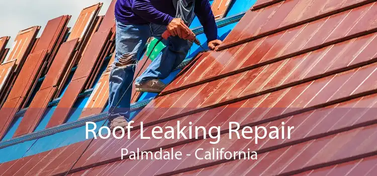 Roof Leaking Repair Palmdale - California