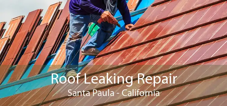 Roof Leaking Repair Santa Paula - California