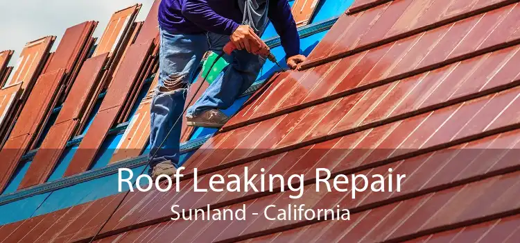 Roof Leaking Repair Sunland - California