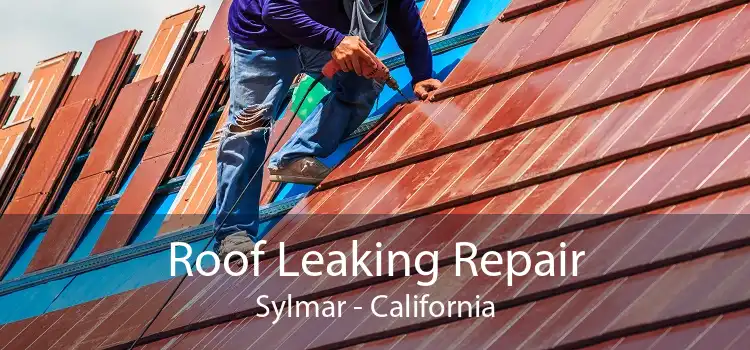 Roof Leaking Repair Sylmar - California