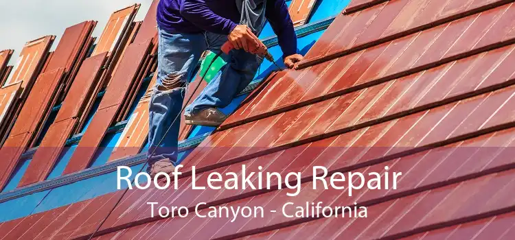 Roof Leaking Repair Toro Canyon - California