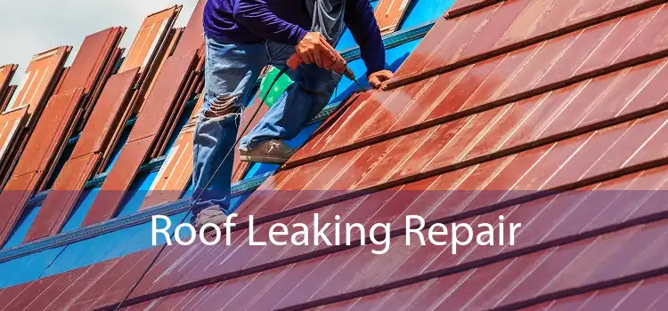 Roof Leaking Repair 