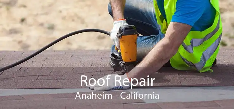 Roof Repair Anaheim - California