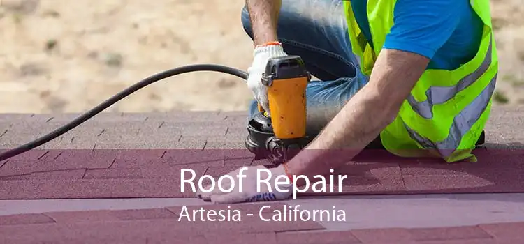 Roof Repair Artesia - California