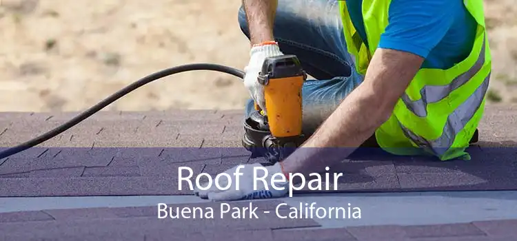 Roof Repair Buena Park - California