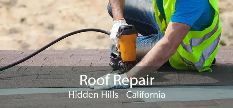 Roof Repair Hidden Hills - California