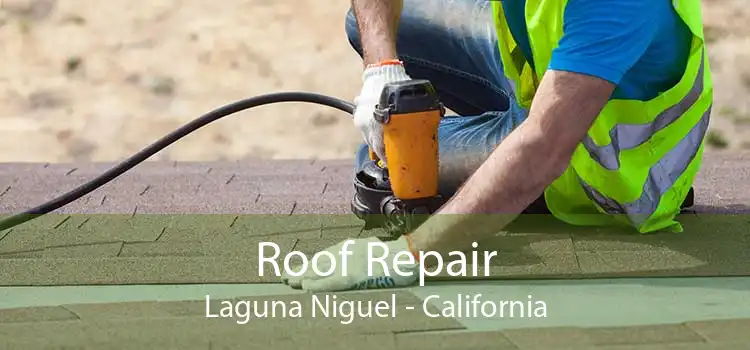 Roof Repair Laguna Niguel - California