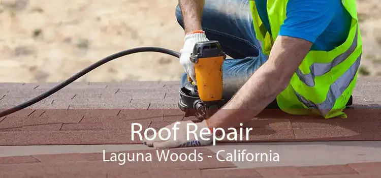 Roof Repair Laguna Woods - California