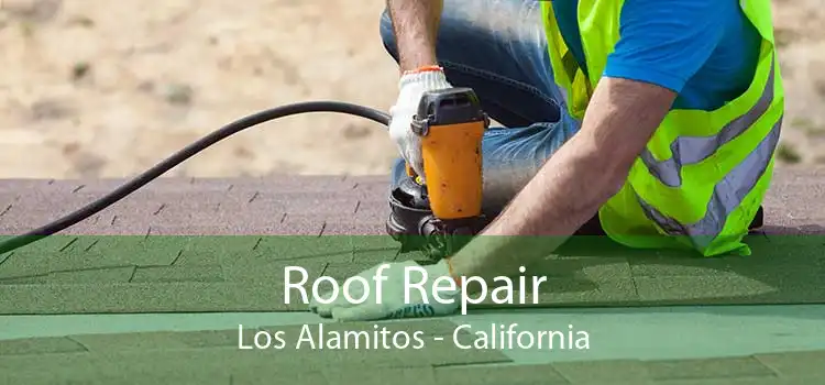 Roof Repair Los Alamitos - California